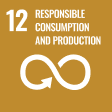 12 - Responsible consumption and production