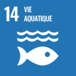 14 - Vie aquatique