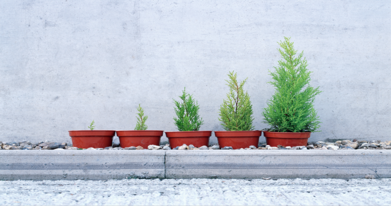 Carmignac Portfolio Grandchildren fête son deuxième anniversaire